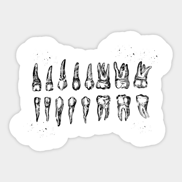 Teeth Diagram Sticker by erzebeth